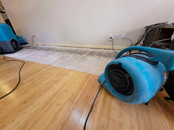 Professional Flood Damage Cleanup technician working in Scottsmoor, FL